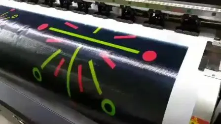 2.5m Large Format Eco Solvent Printer with Photoprint Software